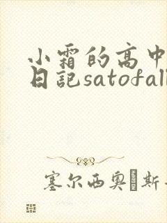 小霜的高中成长日记satofall