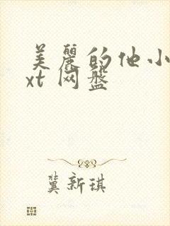 美丽的他小说txt 网盘