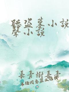 听盗墓小说的有声小说