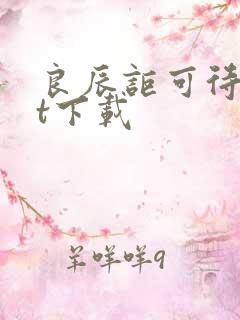 良辰讵可待txt下载