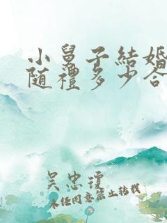 小舅子结婚姐夫随礼多少合适