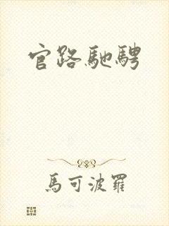官路驰骋