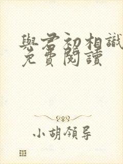 与君初相识全本免费阅读