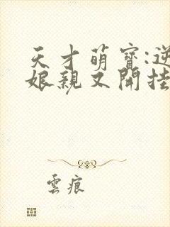 天才萌宝:逆天娘亲又开挂了三二五