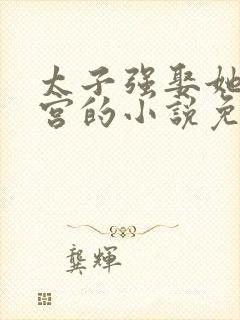 太子强娶她入东宫的小说免费阅读