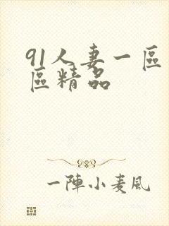 91人妻一区二区精品