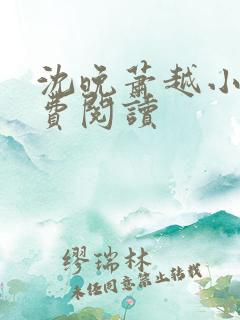 沈晚萧越小说免费阅读