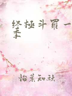 终极斗罗一共几季