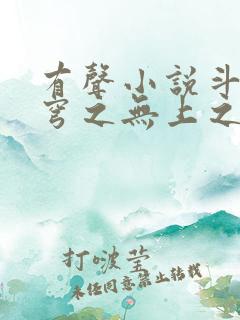 有声小说斗破苍穹之无上之境