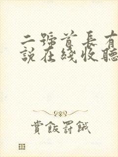 二号首长有声小说在线收听