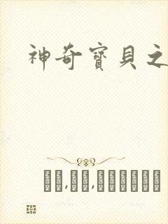 神奇宝贝之一辉