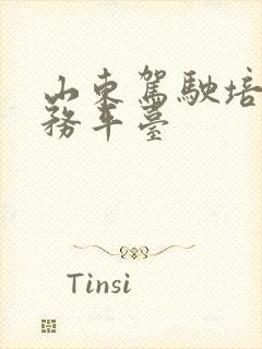 山东驾驶培训服务平台