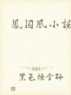 凤囚凰小说
