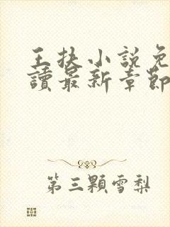 王扶小说免费阅读最新章节无弹窗