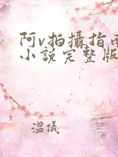 阿v拍摄指南说小说完整版