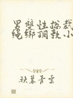 男双性总裁奴被绳绑调教小说