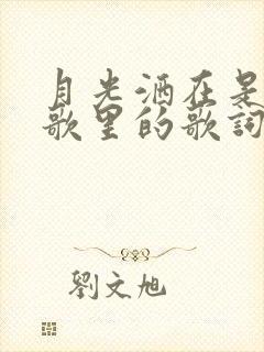 月光洒在是哪首歌里的歌词