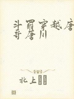 斗罗穿越唐三亲哥唐川