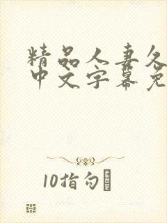 精品人妻久久久中文字幕免费