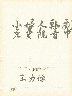 小妇人韩剧全集免费观看中文版