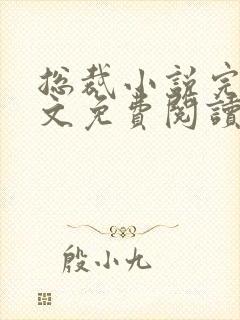 总裁小说完结全文免费阅读全文