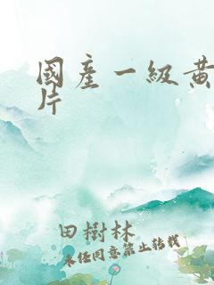 国产一级黄色淫片