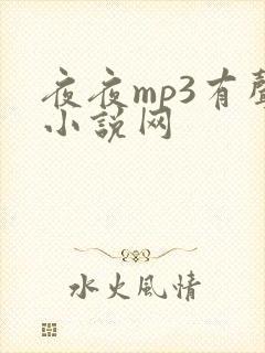 夜夜mp3有声小说网