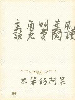 主角叫叶风的小说免费阅读