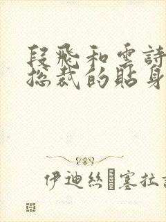 段飞和云诗彤女总裁的贴身高手