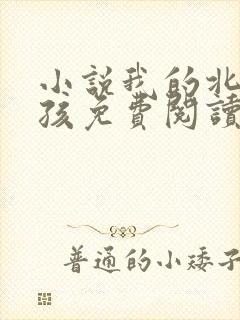 小说我的北方女孩免费阅读23