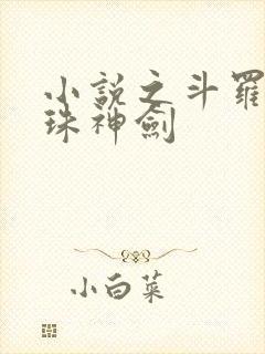 小说之斗罗之灵珠神剑