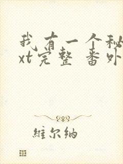 我有一个秘密txt完整 番外