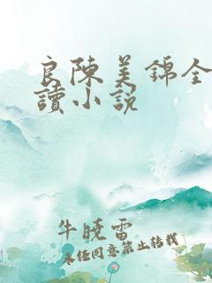 良陈美锦全文阅读小说