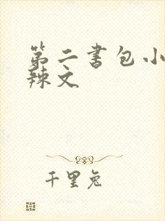 第二书包小说网辣文