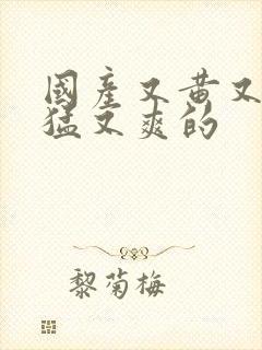 国产又黄又粗又猛又爽的