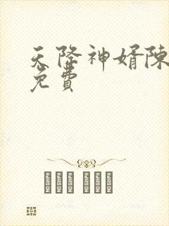 天降神婿陈黄皮免费