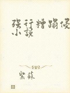 强行糟蹋侵犯h小说