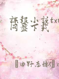 谍报小说txt网盘下载