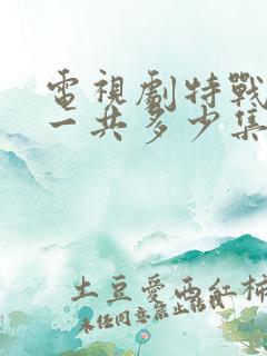 电视剧特战荣耀一共多少集