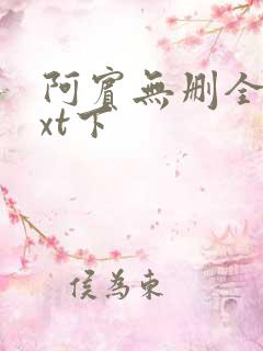 阿宾无删全文txt下