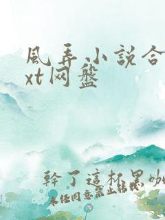 风弄小说合集txt网盘