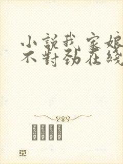 小说我家娘子,不对劲在线阅读