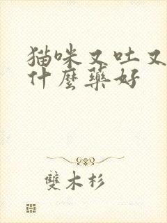 猫咪又吐又拉吃什么药好