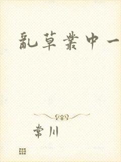 乱草丛中一杆枪