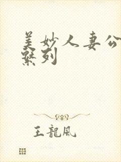 美妙人妻公务员系列