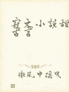 宠文小说甜宠文古言