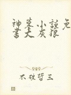 神墓小说免费听书大灰狼