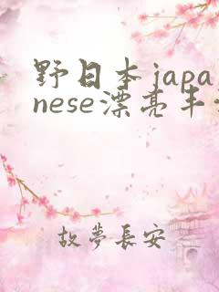 野日本japanese漂亮丰满