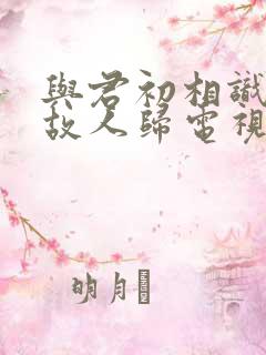 与君初相识恰似故人归电视剧