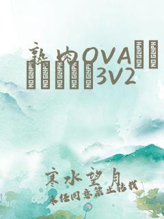 熟肉OVAちゃんはしたい3V2